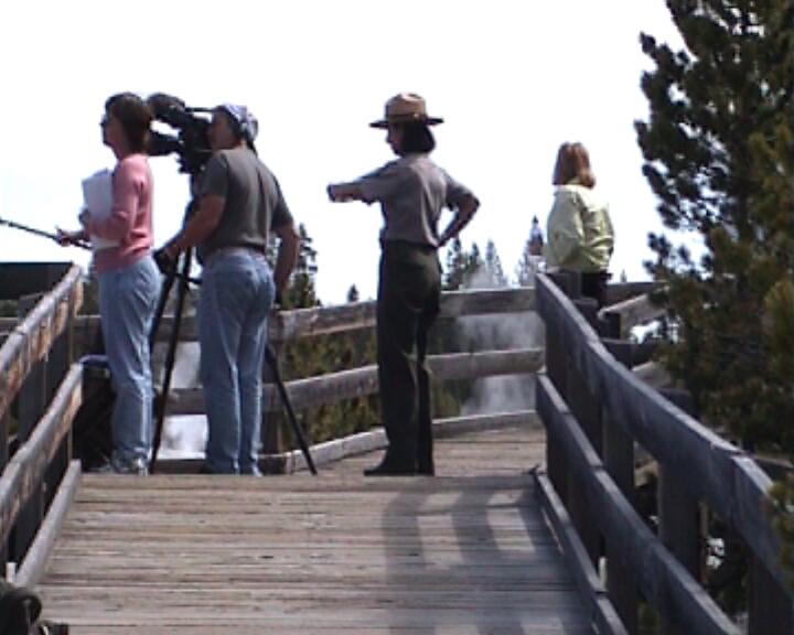Bison direkt neben der Straße